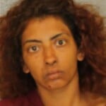 Mayra Ramirez Larceny