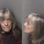 Crystal Hudson Cocaine Possess Possess Drug Paraphernalia Dwlr Not Impaired Rev