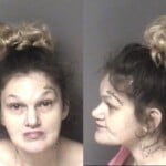 Megan Mcmillian Failure To Appear Felony Probation Violation