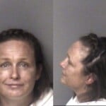 Annaka Ehrke Failure To Appear Misdemeanor Larceny Motor Vehicle