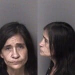 Christina Stephens Dwlr Not Impaired Rev Insurance No Liability Registeredtitled Driveallow Vehicle Registration Plate Driveallow While Not Display