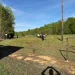 670655100 10241645207569453 6159147134240737663 N