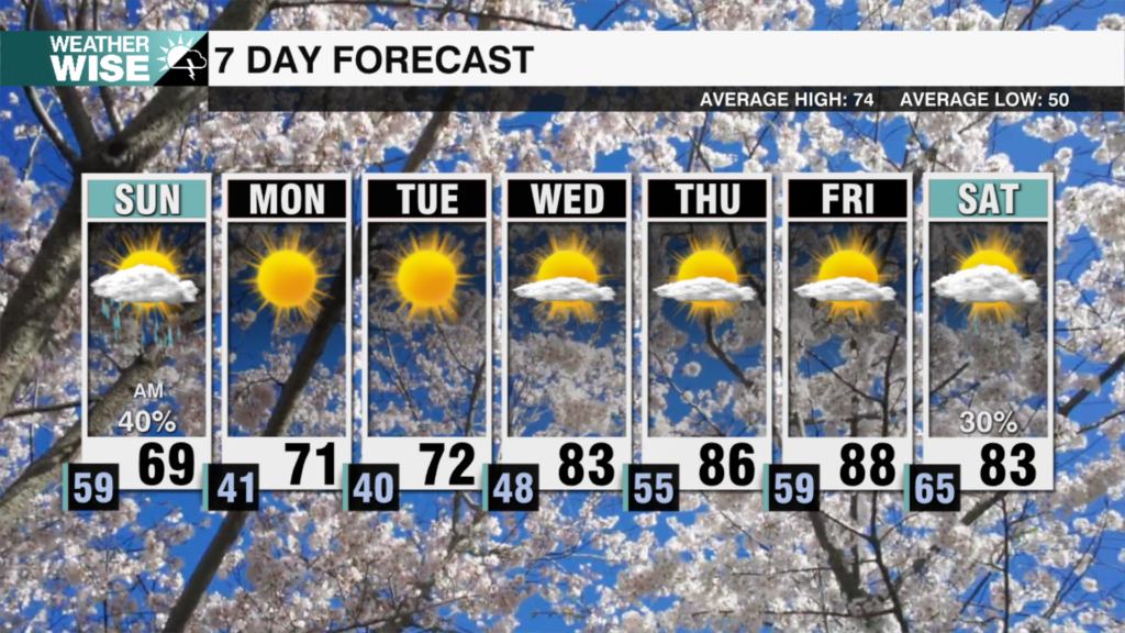 7 Day Weekends 2025 55