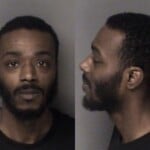 David Brooks Sch Vi Possess