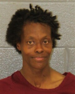 Dominique Lecco Breakenter Motor Veh Wtheft Breakenter Motor Veh Misdemeanor Larceny Possess Drug Paraphernalia