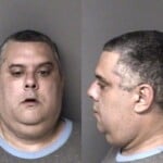 Andrew Macchiavello Larceny