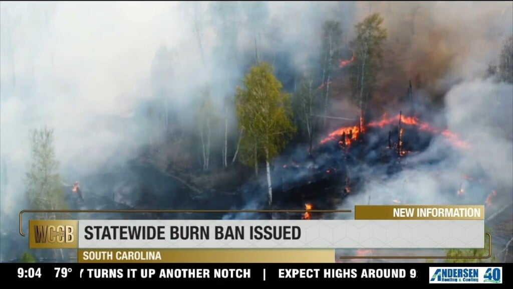 Statewide Burn Ban Issued In South Carolina