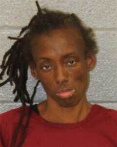 Ishenika Bailey Larceny