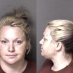 Amanda Braswell Obtain Property False Pretense Larceny Misdemeanor Failure To Appear Misdemeanor