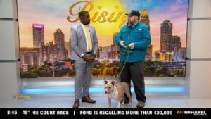 4 8 26 Pet Of The Week Jelly