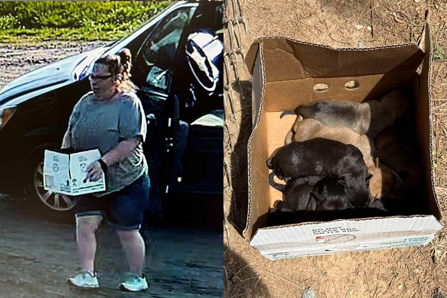 Woman Arrested For Abandoning Puppies