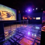 Exhibition Discovery Gallery Courtesy Of Titanic The Exhibition