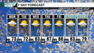 7 Day Weekends 2025 56