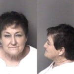 Ursula Powell Defraud Drugalc Test 1st Probation Violation