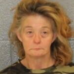 Michele Norris Larceny Of Motor Vehicle