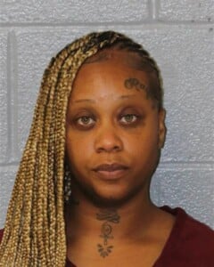 Tracey Brown Felony Hit And Run Assault With A Deadly Weapon