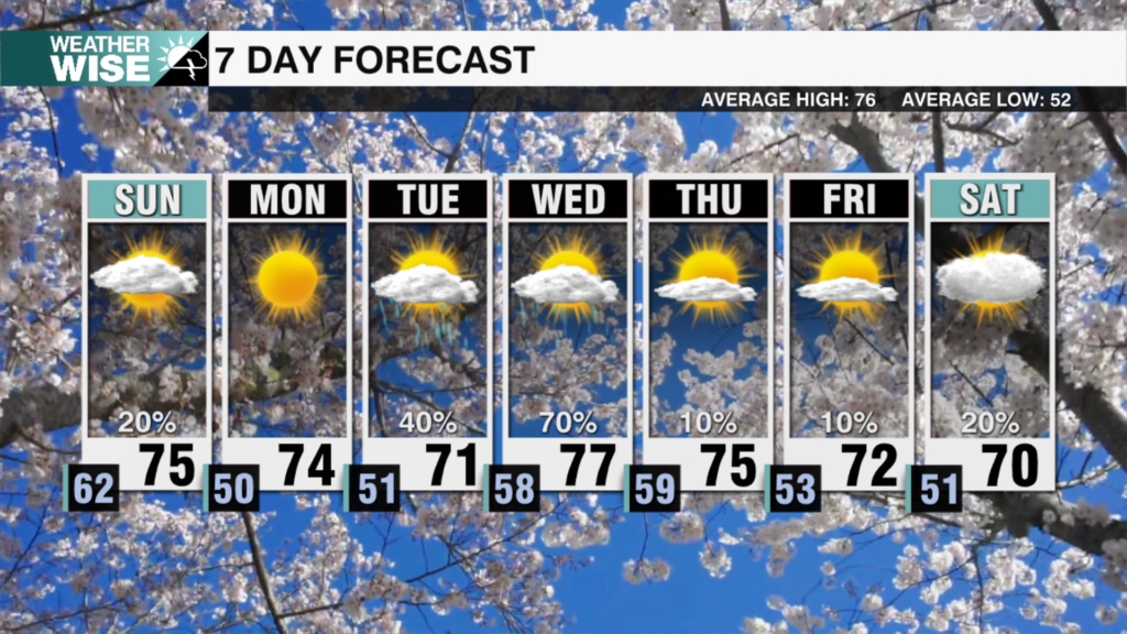 7 Day Weekends 2025 57