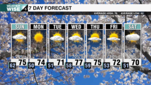 7 Day Weekends 2025 57