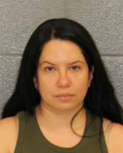 Melissa Meracevallos Breakenter Motor Veh Financial Transaction Card Theft Or With Misdemeanor Larceny Felony Conspiracy