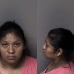 Andrea Hernandezgarduza Assault And Battery Disorderly Conduct Immigration