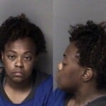 Natasha Wilson Possess Methamphetamine Maintain Vehicledwellingplace Cont Subst Registration Platecard Fictitiouscanceledrevoked