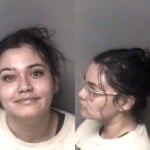 Chantal Antonio Driving While License Revoked Not Impaired Hit And Run Leave Scene Property Damage