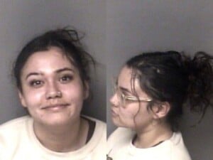 Chantal Antonio Driving While License Revoked Not Impaired Hit And Run Leave Scene Property Damage