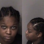 Bria Zieglar Probation Violation