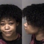 Roni Bolian Trespass Domestic Criminal Failure To Appear Misdemeanor