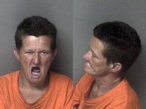 Crystal Sexton Possess Stolen Motor Vehicle Possess Drug Paraphernalia