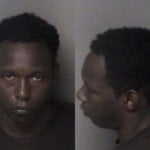 Dominique Lynch Secret Peeping Stalking