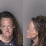 Amy Ivester Solicit Almsbeg For Money