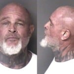 Firest Dennis Assault Female