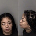 Cindy Ngo Misd Crime Of Dom Violence