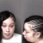 Monica Elmore Dwi Child Abuse