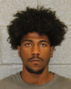 Gregory Hines Carry Concealed Weapon Gun Resist Public Officer