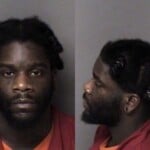 Nakenya Kirkland Habeas Corpus