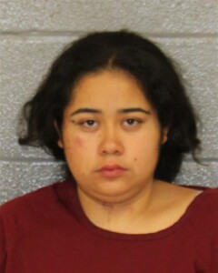 Miriam Flores Domestic Violence Simple Assault