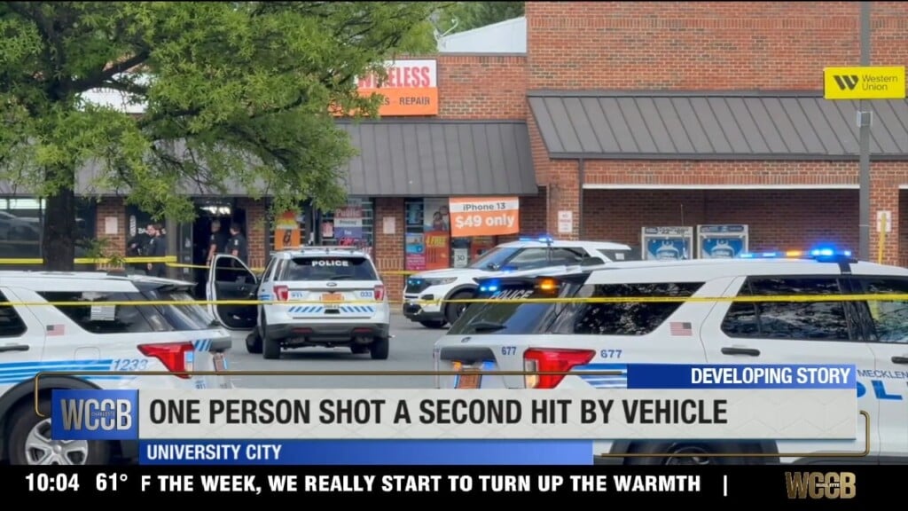 One Shot, One Hit By Vehicle