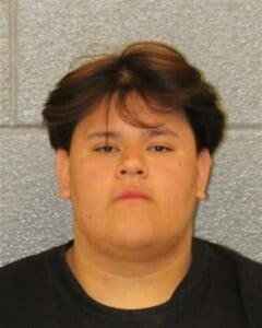 Gerardo Guzman Assault On A Female Misd Crime Of Dom Violence