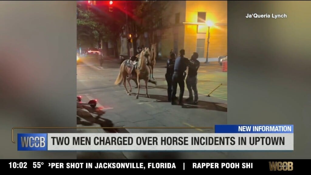 Two Men Facing Charges After Horses Seen Running Through Uptown