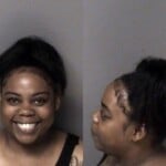 Alexis Mintz Crime Of Domestic Violence