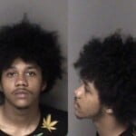 Okeem Hunter Alterremove Gun Serial Number Firearm Carry Concealed Contributing Delinquency Of Juvenile Fictalt Titlereg Cardtag Possess Drug Paraphernalia