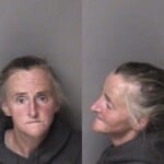 Laura Sanders Driving While Impaired