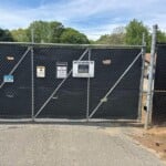 Abandoned Puppies Pic 7