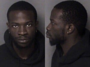 Ifeoluwani Fawehinimi Resist Public Officer Lighting Breakstop Violation