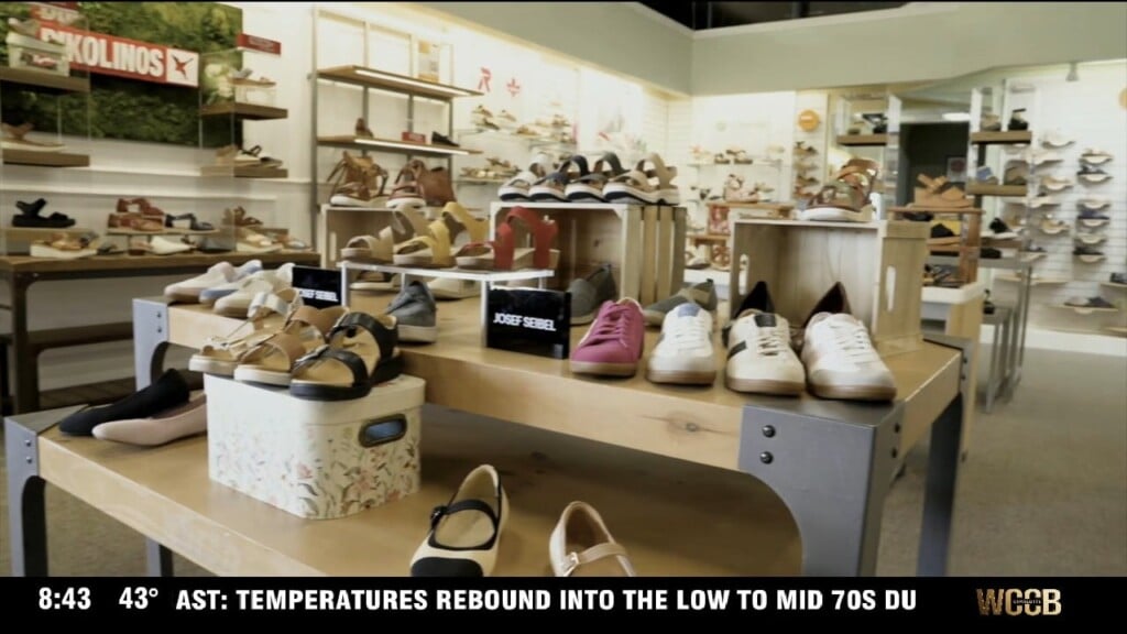 Carolina Insight The Shoe Market