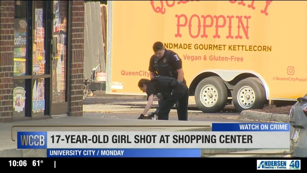 17yo Girl Shot At Shopping Center