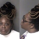 Lamena Mcilwaine Probation Violation