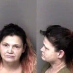 Kelly Phillips Failure To Appear